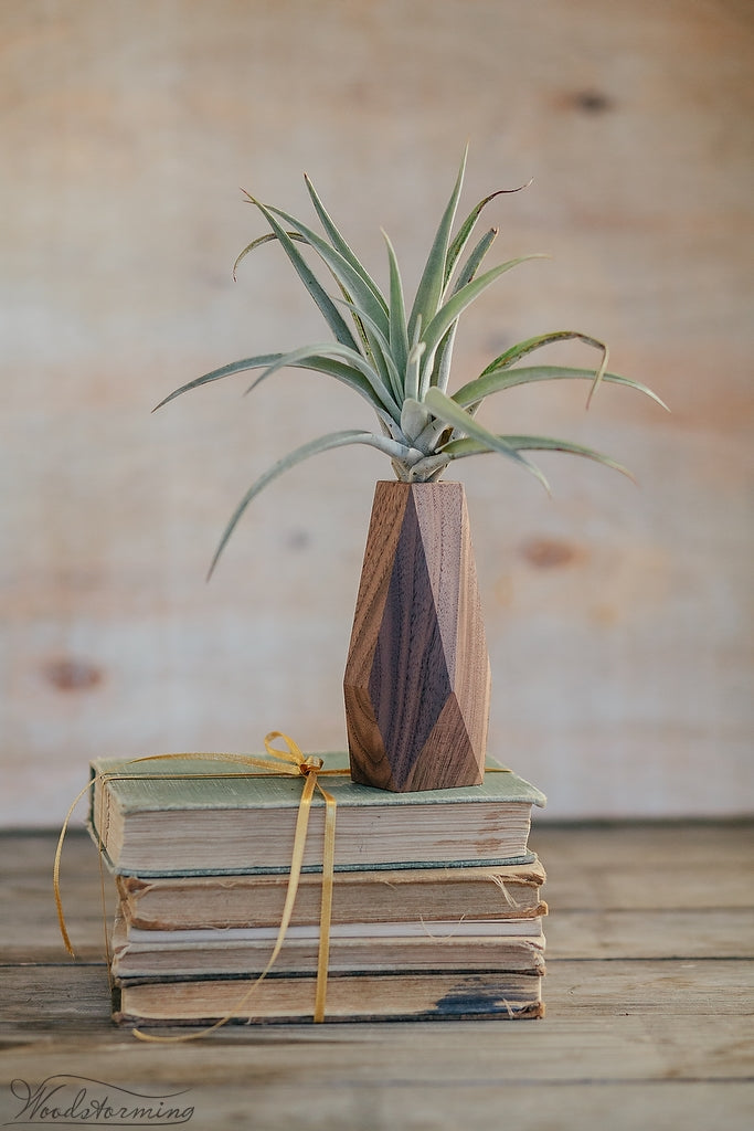 Faceted Walnut Wood Vase for Dried Flowers
